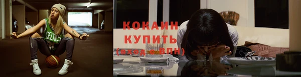 кокс Алексин