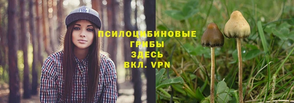 кокс Алексин