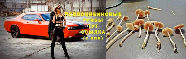 прущие крисы Алексеевка