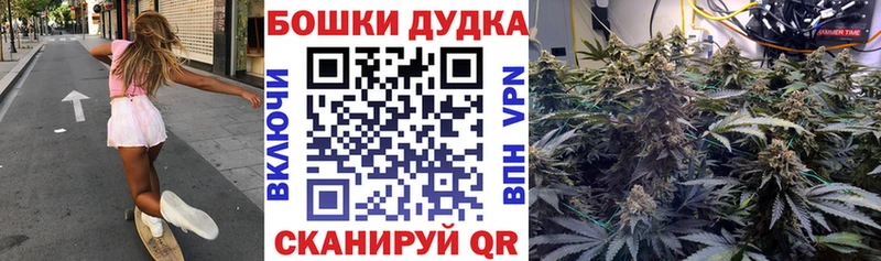 Бошки Шишки Amnesia  Ижевск 